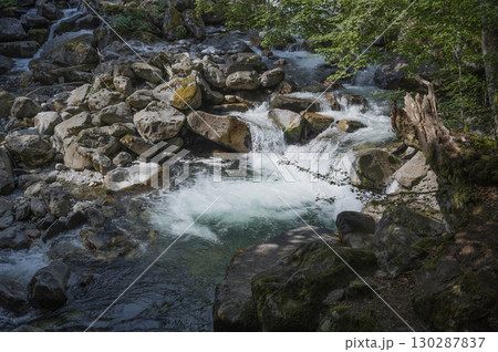 Water cascades through the serene forest of Cauteret Pont d'Espagne in the Pyrenees, highlighting 130287837