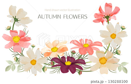 水彩で描いたコスモスのフレーム 130288100