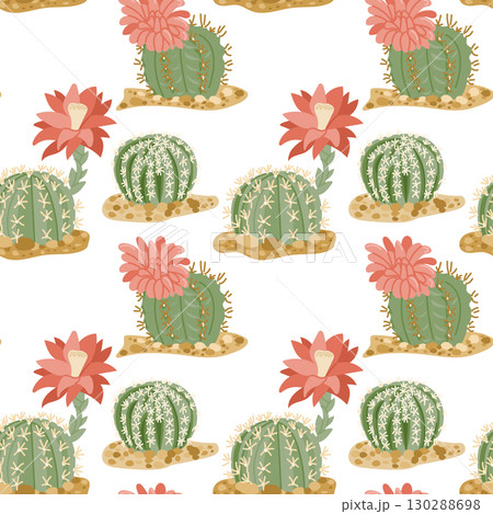 Seamless pattern with blooming round cacti and desert soil on white background Seamless pattern with blooming round cacti and desert soil on white background 130288698