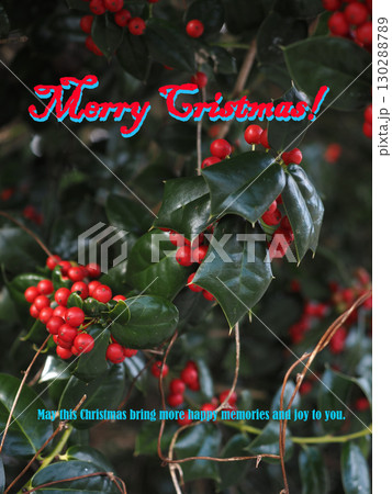 メリークリスマス！（Merry Christmas!） 130288789