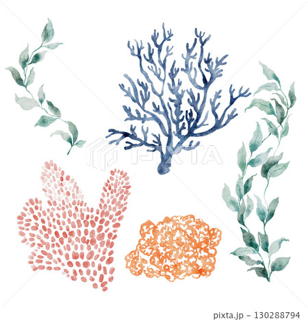Watercolor laminaria and coral branch set. Underwater plant illustration isolated on white background. For design, prints, fabric or background. 130288794