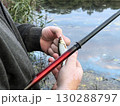 A fisherman holds a fish in his hands. Fishing with a fishing rod. Body of water in nature: lake, river. Hands with vitiligo spots 130288797