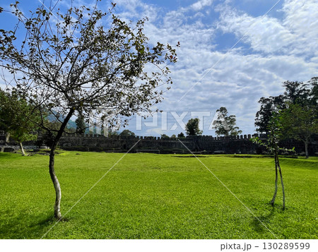 Tree and green grass on the lawn opposite the fortress wall Tree and green grass on the lawn opposite the fortress wall 130289599