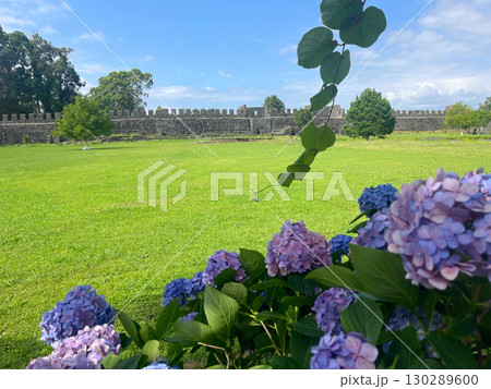 View of Old Roman Fortness with Beautiful Purple Flowers 130289600