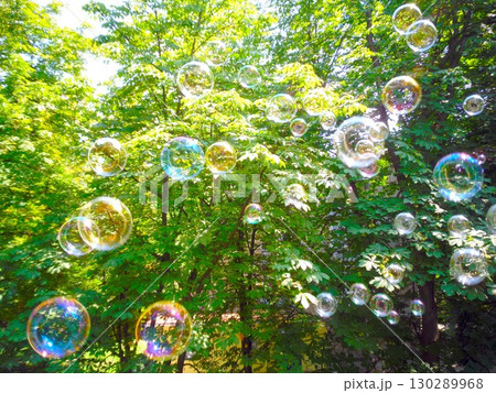 Here's a catchy caption for your image, along with appropriate hashtags: "Floating magic through the green canopy! These iridescent bubbles caught in the sunlight are giving us ultimate carefree vibes 130289968