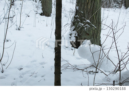 A small snowman behind a tree. Snowy winter fun A small snowman behind a tree. Snowy winter fun 130290188