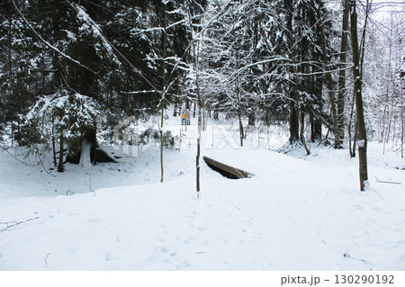 The bridge over the stream is covered with snow. Winter in the forest horizontal photo The bridge over the stream is covered with snow. Winter in the forest horizontal photo 130290192