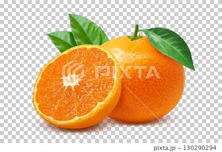 Mandarin orange illustration realistic mandarin orange 130290294