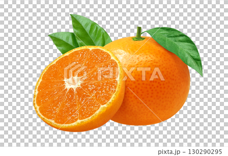 Mandarin orange illustration realistic mandarin orange 130290295