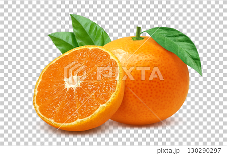 Mandarin orange illustration realistic mandarin orange 130290297