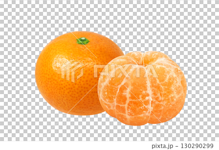 Mandarin orange illustration realistic mandarin orange 130290299