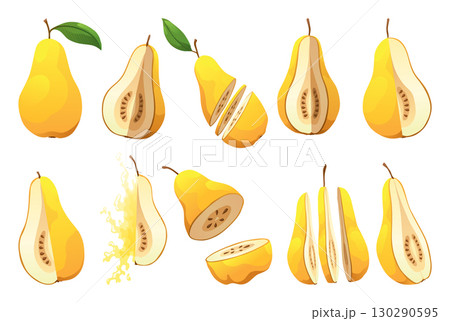 Yellow pear food whole, cut half, piece, part and slice chopped of fruit. Harvest ripe fruit. Popular healthy garden food pear. Vector flat illustration 130290595
