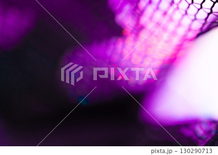 黒色のレース・ハロウィン 背景素材 130290713