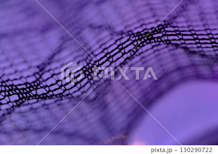 黒色のレース・ハロウィン 背景素材 黒色のレース・ハロウィン 背景素材 130290722