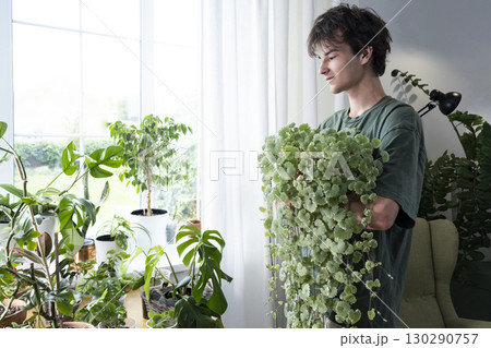 Home plants and the environment A young man is taking care of plants at home. Ampel climbing plant . Glechoma hederacea. 130290757