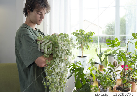 Home plants and the environment A young man is taking care of plants at home. Ampel climbing plant . Glechoma hederacea. Home plants and the environment A young man is taking care of plants at home. Ampel climbing plant . Glechoma hederacea. 130290770