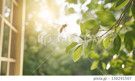 Nature at its best with a bee flying through sunlight and green leaves in the garden during summer Nature at its best with a bee flying through sunlight and green leaves in the garden during summer 130291507
