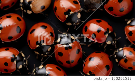 Ladybugs gathered in nature, showcasing red spotted insects in a vibrant garden pattern closeup 130291515