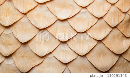 Pangolin Scale Pattern Exotic pangolin scales create a unique pattern,...のイラスト素材 [130291548 ...