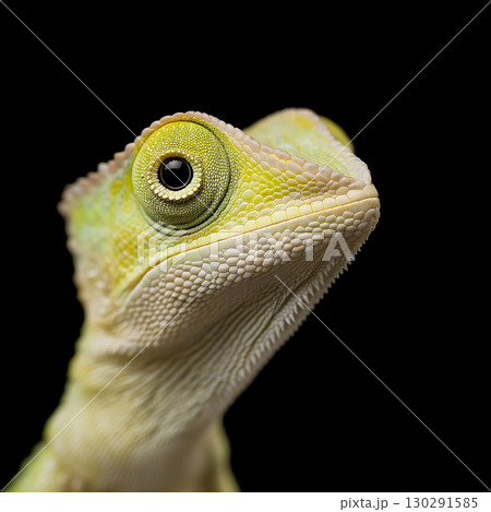 Reptile Closeup: A Detailed Gecko Lizard with Green Scales and Captivating Eyes 130291585