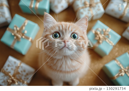 Adorable cat surrounded by Christmas gifts with ribbons and festive decorations 130291734
