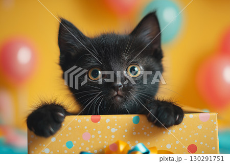 Adorable black kitten surprises in colorful box with balloons, perfect for party celebration Adorable black kitten surprises in colorful box with balloons, perfect for party celebration 130291751