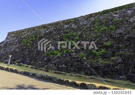 青空の下に広がる大洲城の石垣と緑の景観 130291841