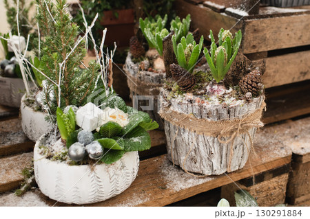 The christmas composition with hyacinths in a pot 130291884