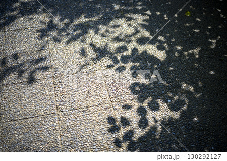 タイル 地面 表面 施設 コンクリート 公園 素材 タイル 地面 表面 施設 コンクリート 公園 素材 130292127