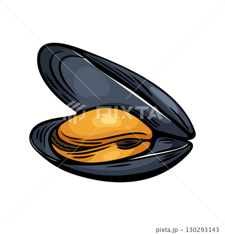 Mussel shell seafood vector in Mediterranean sketch style 130293143