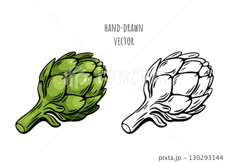 Artichoke vegetable sketch in color and black engraving 130293144