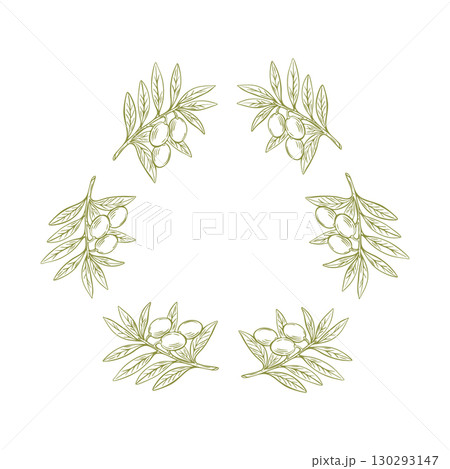 Minimal olive branch wreath sketch for Mediterranean design 130293147