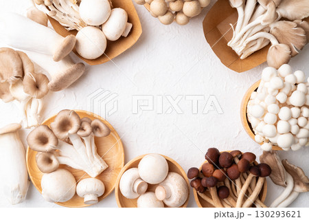 Champignon, Yanagi, Shimeji, oyster and King trumpet mushroom, Food ingredients Champignon, Yanagi, Shimeji, oyster and King trumpet mushroom, Food ingredients 130293621