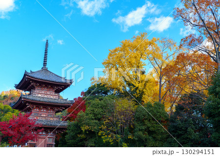 紅葉に包まれた秋の宝積寺 紅葉に包まれた秋の宝積寺 130294151