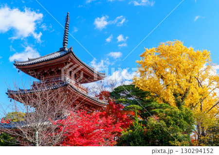 紅葉に包まれた秋の宝積寺 130294152