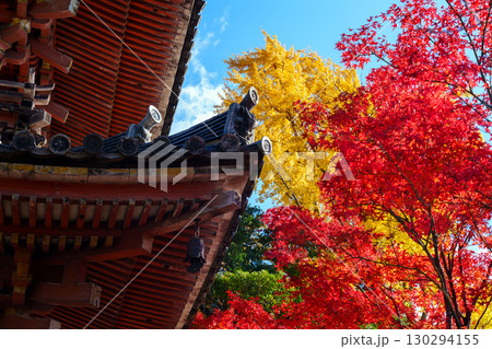 紅葉に包まれた秋の宝積寺 130294155