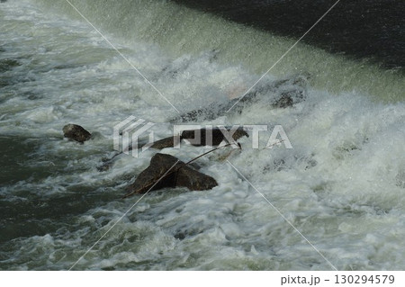 河川の氾濫・増水 溢水 越水 A river overflows 河川の氾濫・増水 溢水 越水 A river overflows 130294579