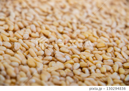 Close up of dried organic pine nuts pinoli or pignoli. background in shallow depth of field. Healthy spices, nuts, seeds and plant foods. 130294836