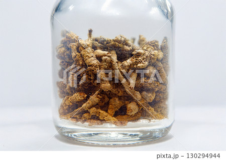 オウレン　漢方 130294944