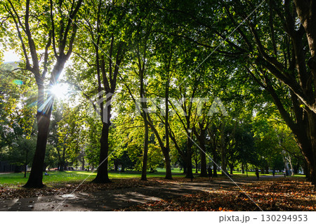 Carlton Gardens in Melbourne Australia Carlton Gardens in Melbourne Australia 130294953