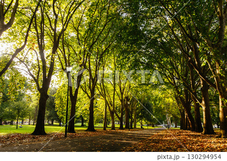 Carlton Gardens in Melbourne Australia 130294954