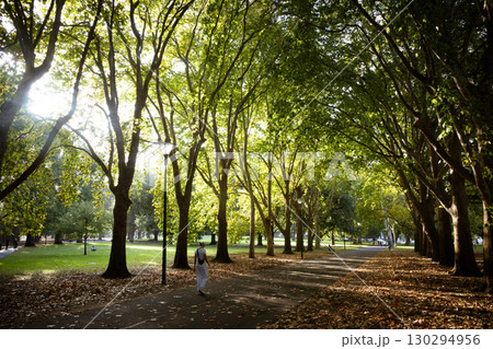 Carlton Gardens in Melbourne Australia Carlton Gardens in Melbourne Australia 130294956