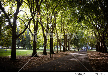 Carlton Gardens in Melbourne Australia 130294957