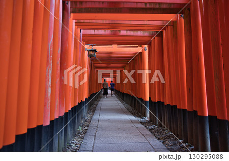 お稲荷さん　千本鳥居朱色の幽玄な世界16 130295088