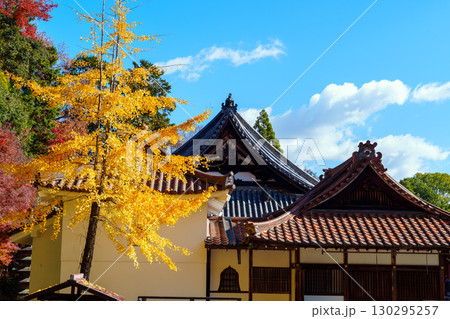 紅葉に包まれた宝積寺 小槌宮 紅葉に包まれた宝積寺 小槌宮 130295257