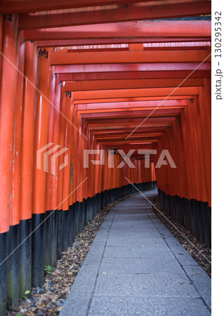 お稲荷さん　千本鳥居朱色の幽玄な世界13 130295342