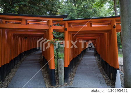 お稲荷さん　千本鳥居朱色の幽玄な世界7 130295431