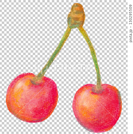 さくらんぼのイラスト オイルパステル画 130295509