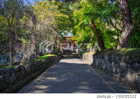 秋の妙義山 総門と参道　群馬県富岡市 130295522