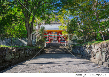 秋の妙義山 総門と参道 群馬県富岡市 秋の妙義山 総門と参道 群馬県富岡市 130295523